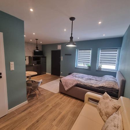 Apartament Milena Kruszyn  المظهر الخارجي الصورة